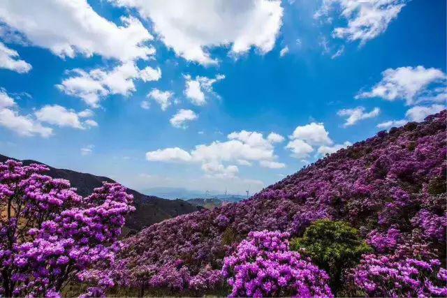 重慶白沙古鎮旅游攻略_白沙古鎮網紅打卡地_重慶白沙古鎮