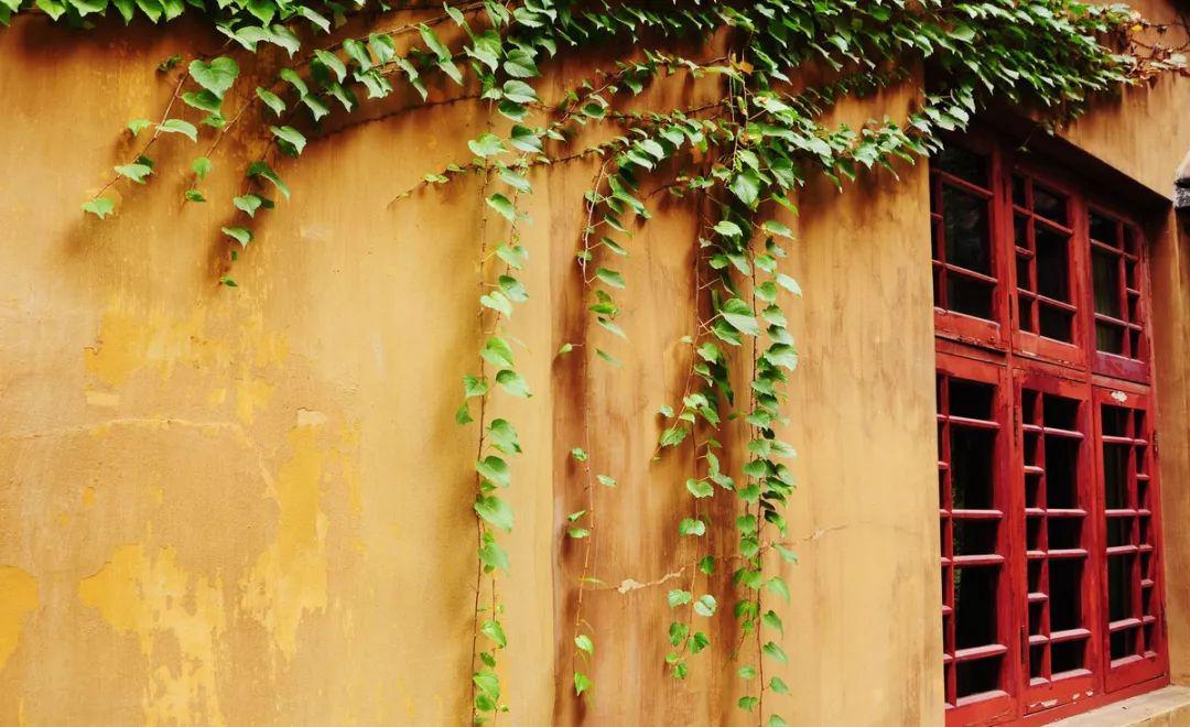 重慶白沙古鎮_白沙古鎮網紅打卡地_重慶白沙古鎮旅游攻略