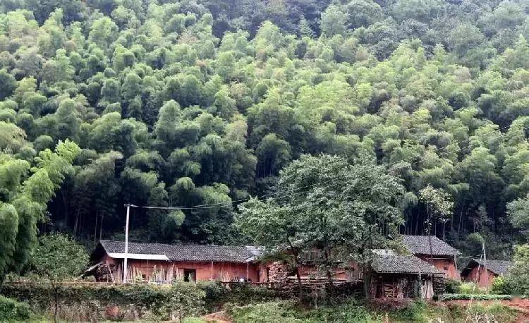 重慶白沙古鎮旅游攻略_白沙古鎮網紅打卡地_重慶白沙古鎮