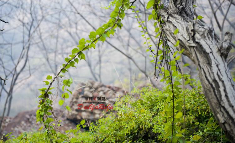 山葉口景區游記_山葉口景區游玩攻略_山葉口風景區