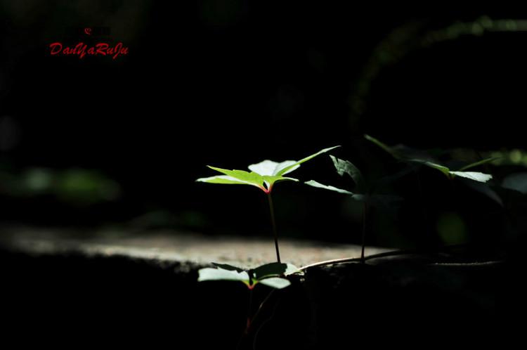 山葉口景區游記_山葉口風景區_山葉口景區游玩攻略