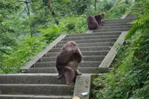峨眉山風景名勝區天氣預報_攻略峨眉旅游山天氣怎么樣_峨眉山旅游攻略2天