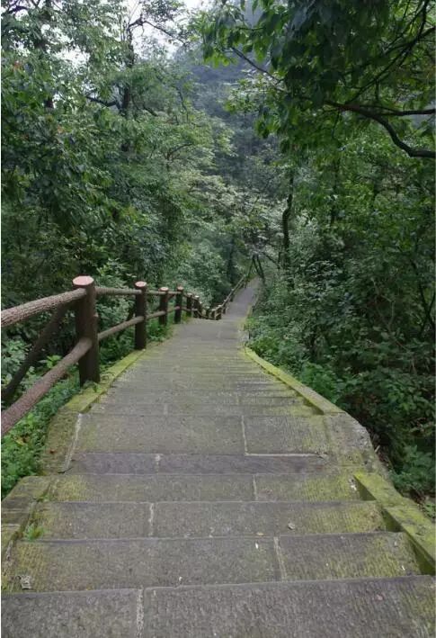攻略峨眉旅游山天氣怎么樣_峨眉山旅游攻略2天_峨眉山風景名勝區天氣預報