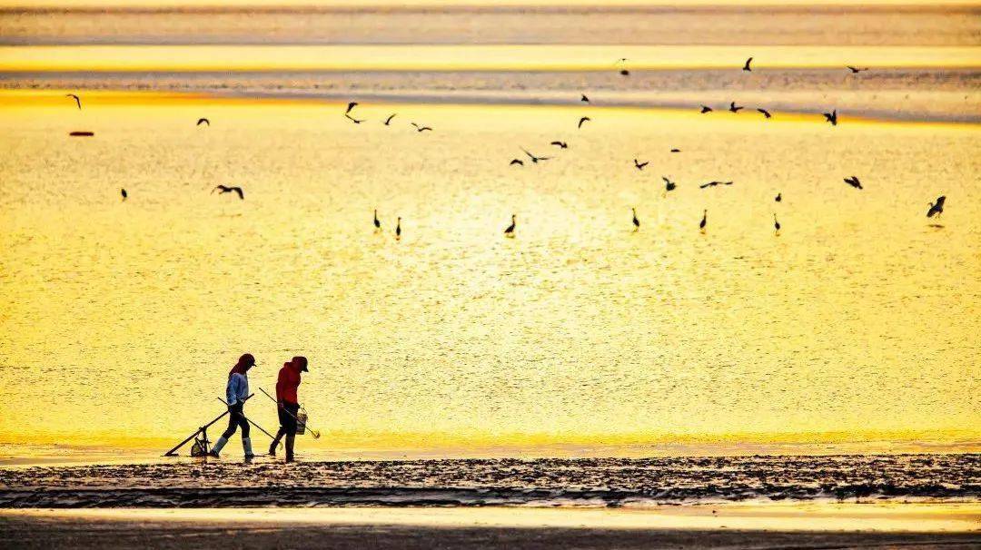 常州春秋淹城樂園攻略_常州淹城春秋樂園游樂設施_常卅淹城春秋樂園