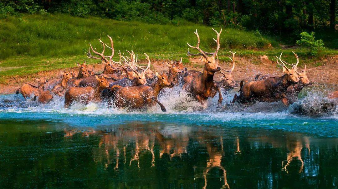 常州春秋淹城樂園攻略_常卅淹城春秋樂園_常州淹城春秋樂園游樂設施