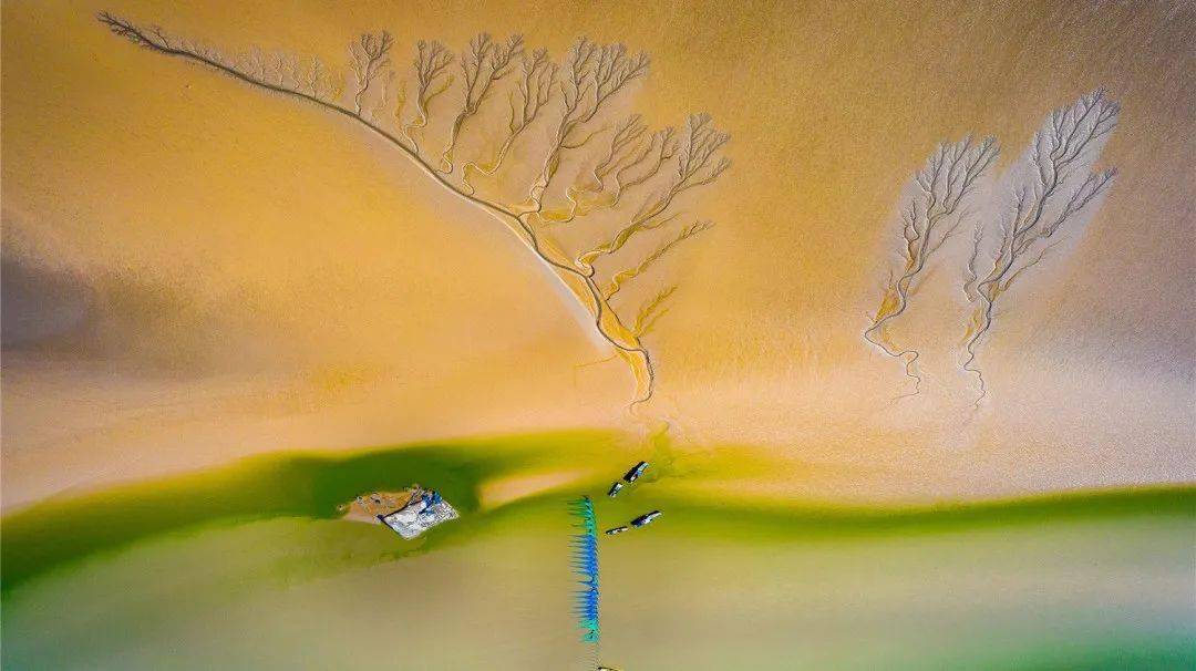 常州春秋淹城樂園攻略_常州淹城春秋樂園游樂設施_常卅淹城春秋樂園